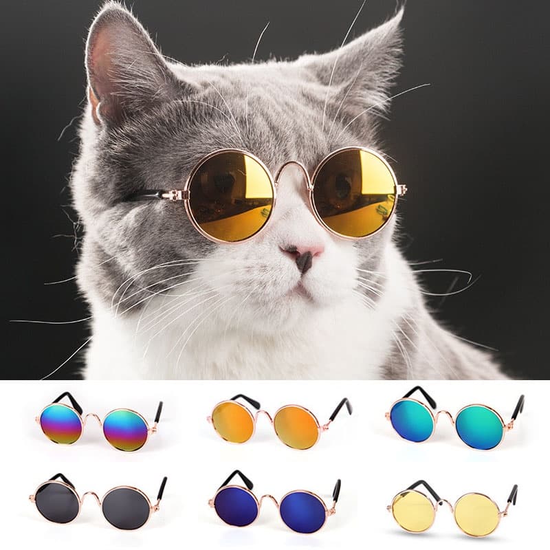Pet GlassesCat DogsSunglassesPet UV Protection GlassesTrend Cool AccessoriesSafety Glasses.