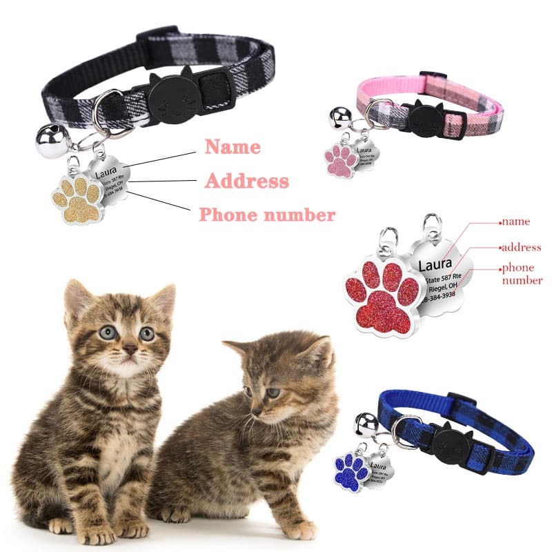 Coleira com Plaquinha de Identificação Gravada para Gatos
