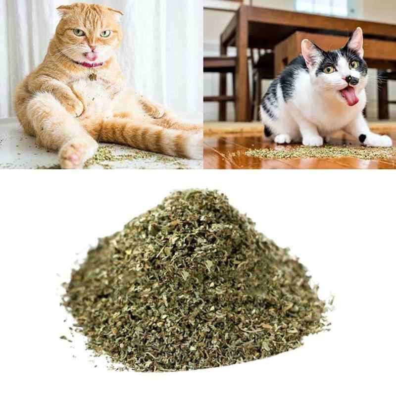 Catnip Premium 2g/5g/10g - Desidratado - Envio Rápido - Erva dos Gatos - Puro - Orgânico