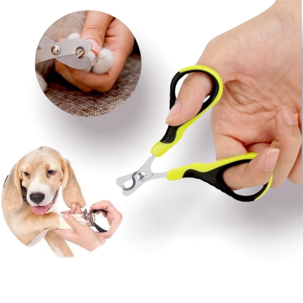 Tesoura Para Pet Cortador De Unha Pra Cães Gatos E Aves Cachorro Vermelha Campeão