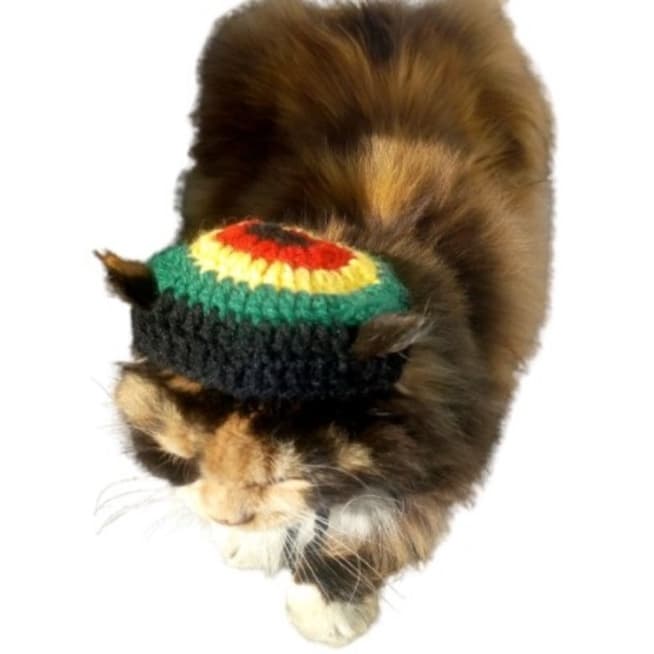 Touca para gatos, pet, rasta, Bob Marley, jamaicana, reggae. Tamanho médio.