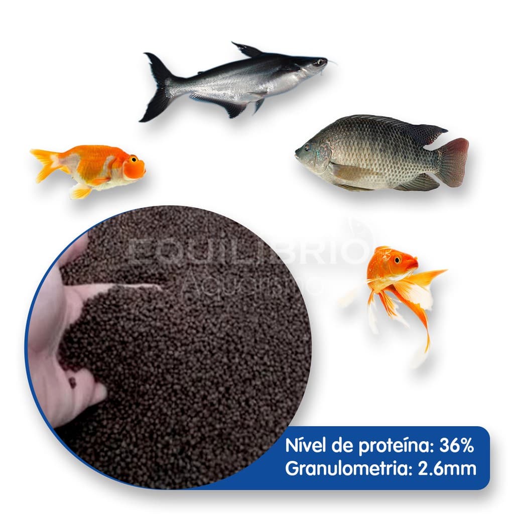 Ração para Carpas, Kinguios, Tilápias e outros 1 Kg