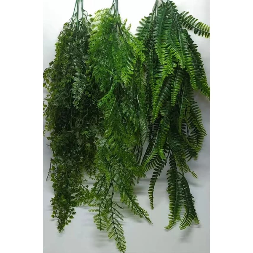 Folhagem de samambaia