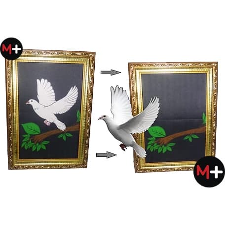 Mágica Quadro Pombo Luxo