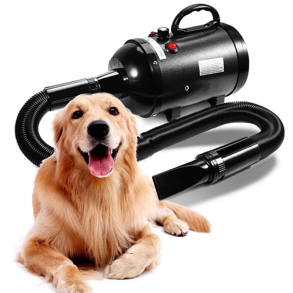 Soprador Secador 3200W Profissional Pet Shop Cachorro Gato Lorben