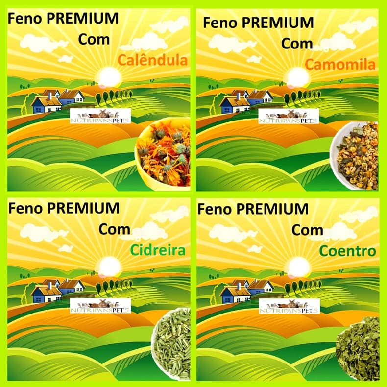 kit degustação 4 sabores de ervas Feno PREMIUM com ervas sabores Camomila Calendula Cidreira Coentro