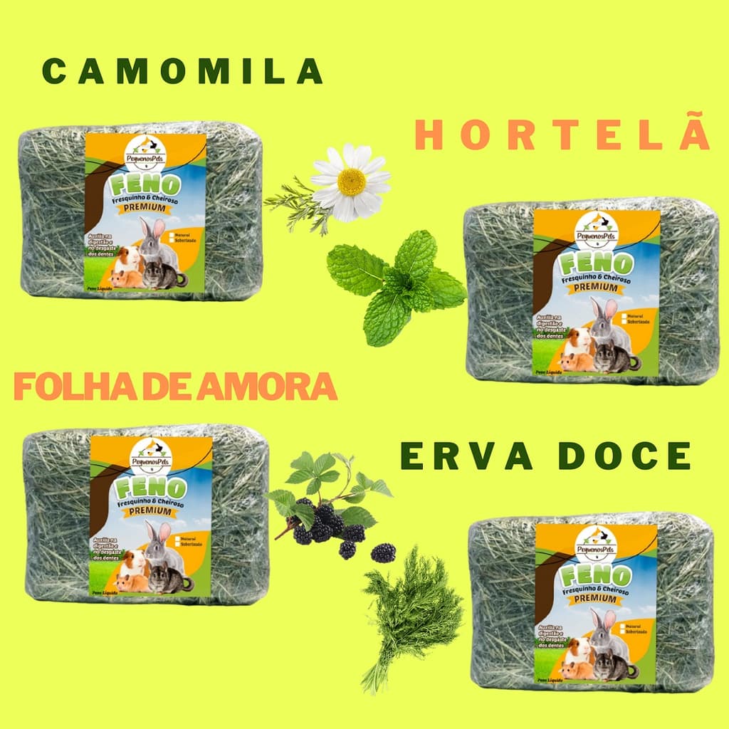 Feno Saborizado Tifton Tipo A Premium para Coelho Porquinho da índia e outros