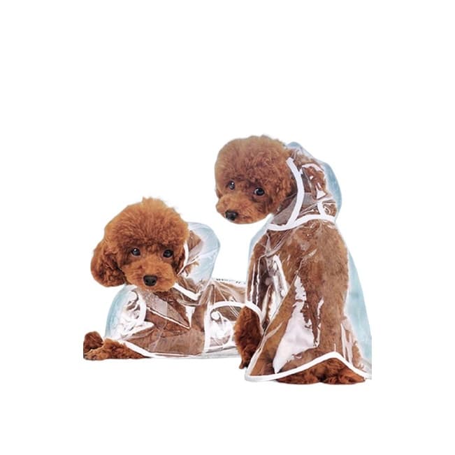 CAPA DE CHUVA PLÁSTICA  PQ  PARA CÃES
