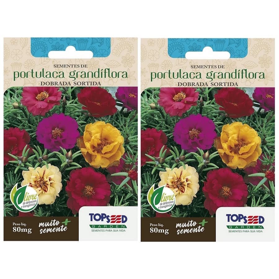 2X Sementes de Onze Horas (Portulaca Grandiflora) TOPSEED