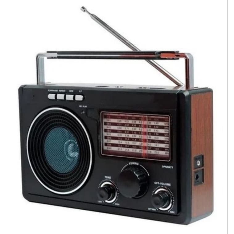 Rádio Am/fm/sw1-9 Com 11 Bandas Pendrive Cartão De Memória