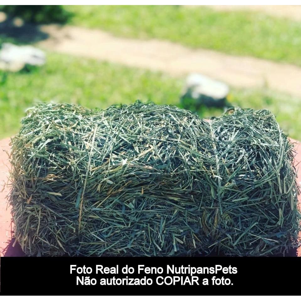 1kg De Feno Coast Cross Premium Verdinho Fresquinho Cheirosinho NUTRIPANSPETS Para Coelho Mini Angora