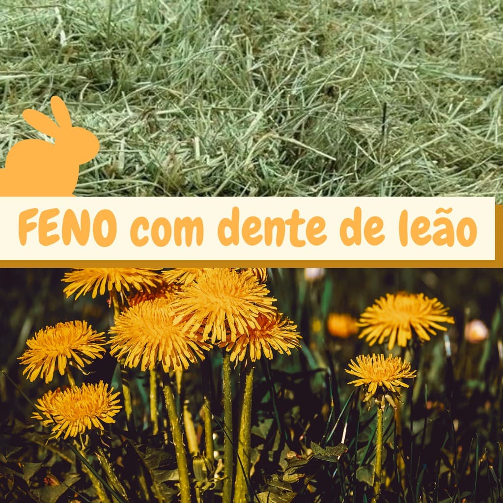 Feno Coast Cross com Dente de Leão - 500g