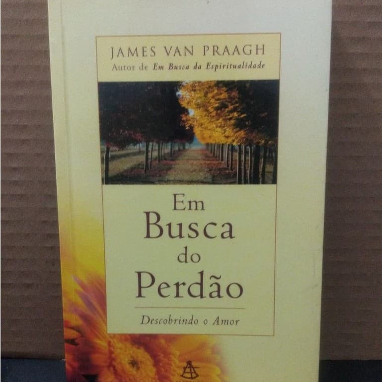 Livro - Em Busca Do Perdão - Descobrindo o Amor