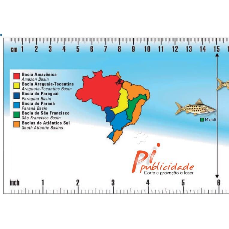 Régua De Medidas Peixes - Oficial - Tamanhos Mínimos - Com proteção UV