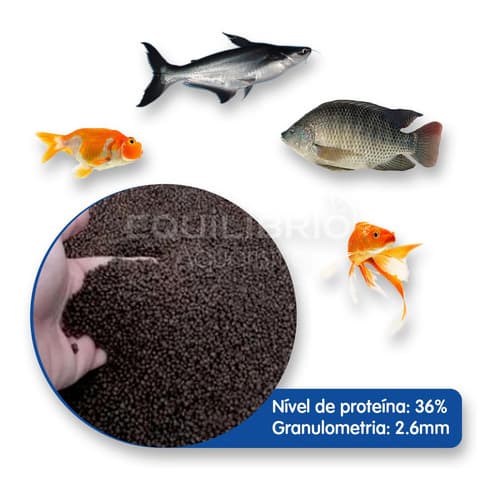 Ração Para Carpas, Kinguios, Tilápias E Outros - 1kg