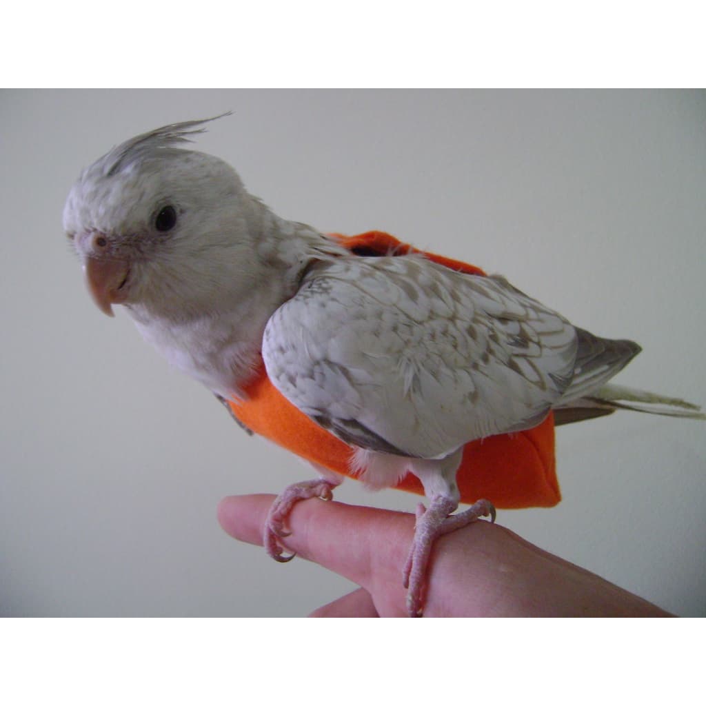 Fralda / Roupa para Calopsitas