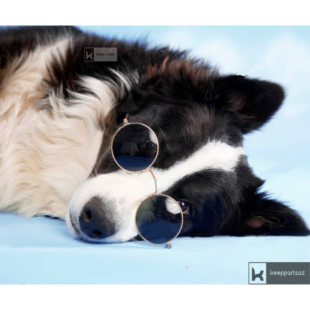 Óculos para pets de grande porte