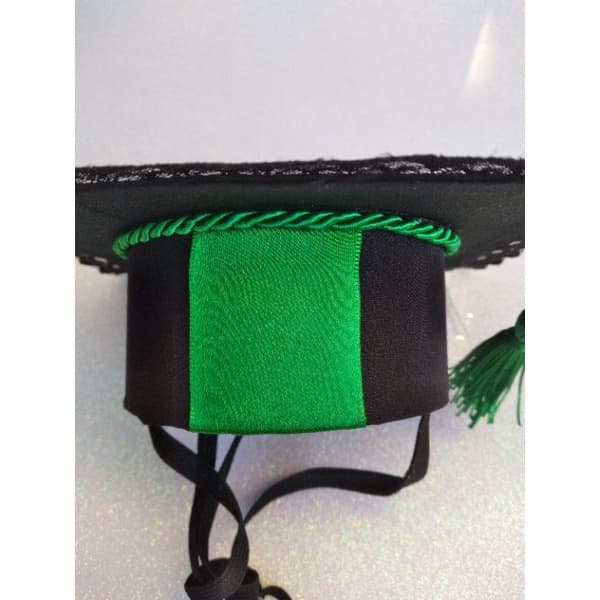 chapéu de formatura para cães e gatos