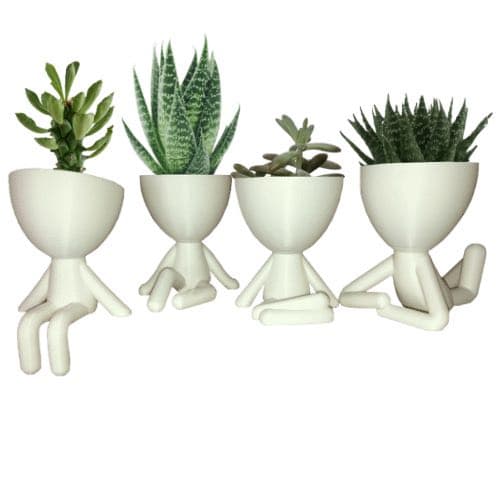 Robert Plant Kit 4 Mini Vasinhos 6cm Cactos Suculentas Decor