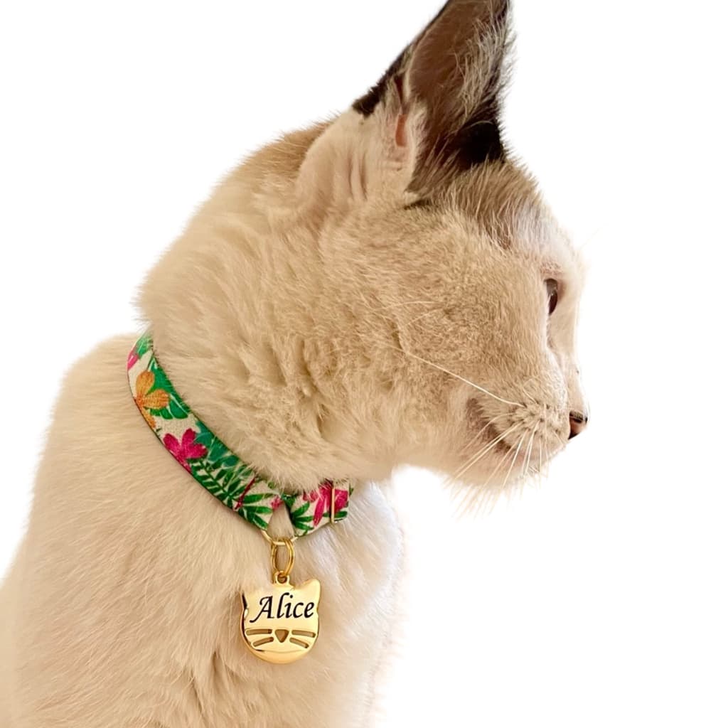 Coleira anti enforcamento para gato com pingente de identificação