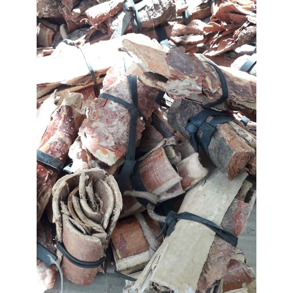 Quina Quina ( Casca Quinina Quinino Coutarea Hexandra ) 100g