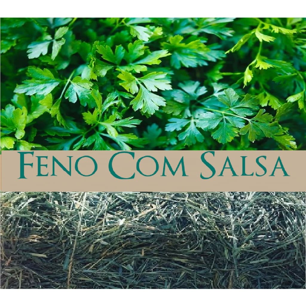 FENO COAST CROSS PREMIUM  SABORIZADO SALSA 500G
