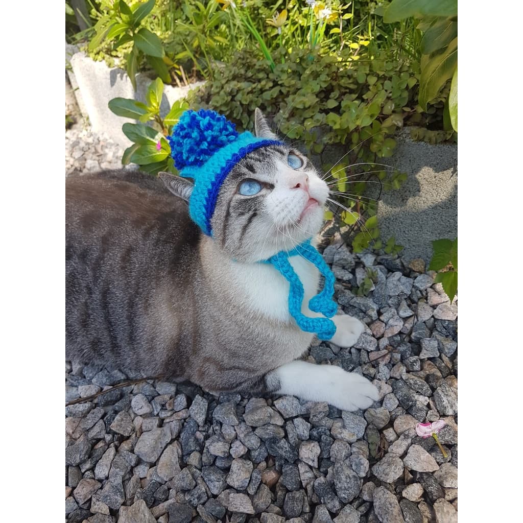 Gorrinho Pet para Gatos, filhotes e cães porte mini - ANUNCIO 1 - envio imediato