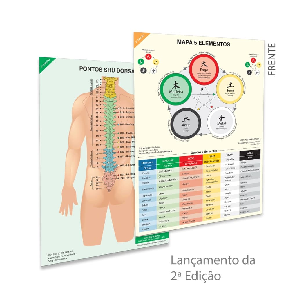 Kit Acupuntura Auricular Mapa Shu Dorsais Ventosaterapia - 5 Elementos