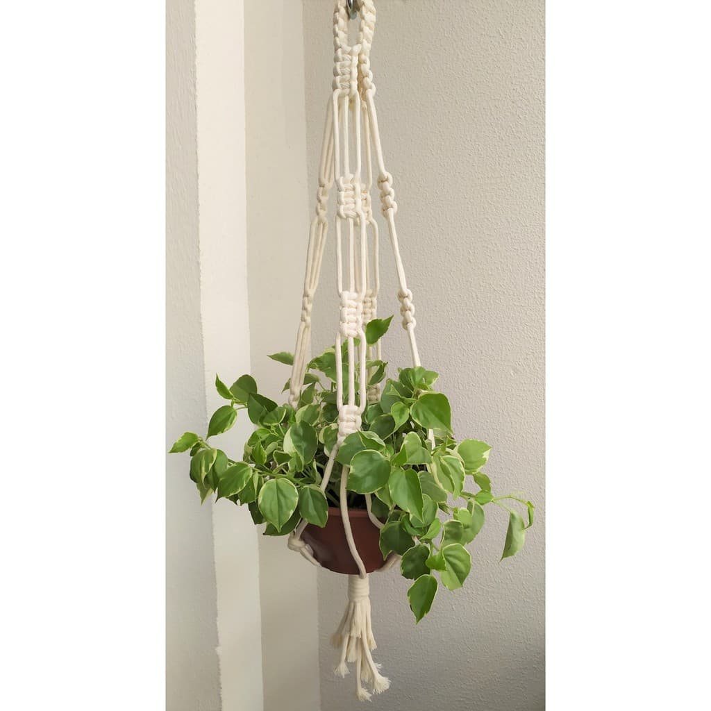 Suporte de planta fio algodão