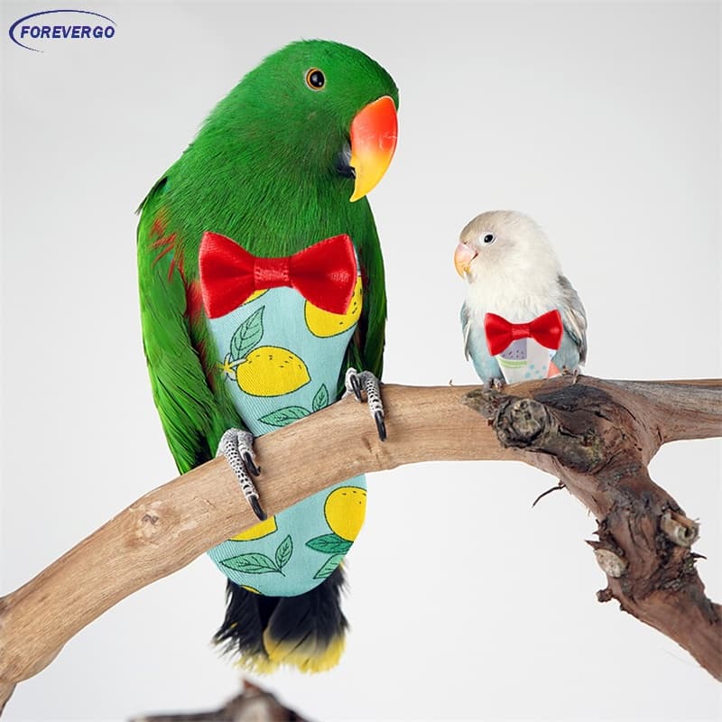 RE Fato De Vôo Fofo De Pássaros Com Fraldas De Papagaio De Estimação Laço Roupas Para Periquitos Pomba Média Grande