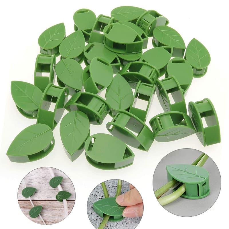 50Pcs Clips escalada para planta em formato de folha de planta, suporte de parede para decoração