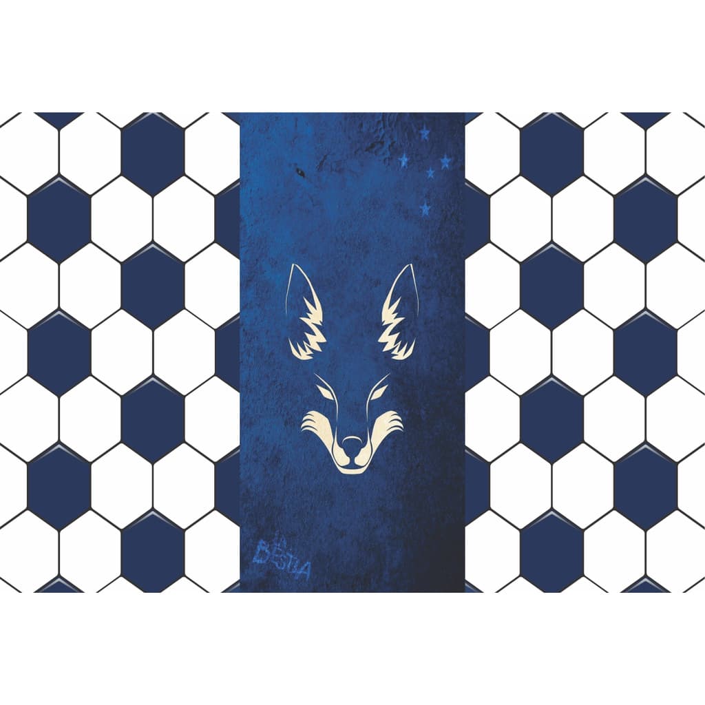 Fundo Fotográfico em Tecido Cruzeiro 1,50x 2,20 Ensaio Fotográfico