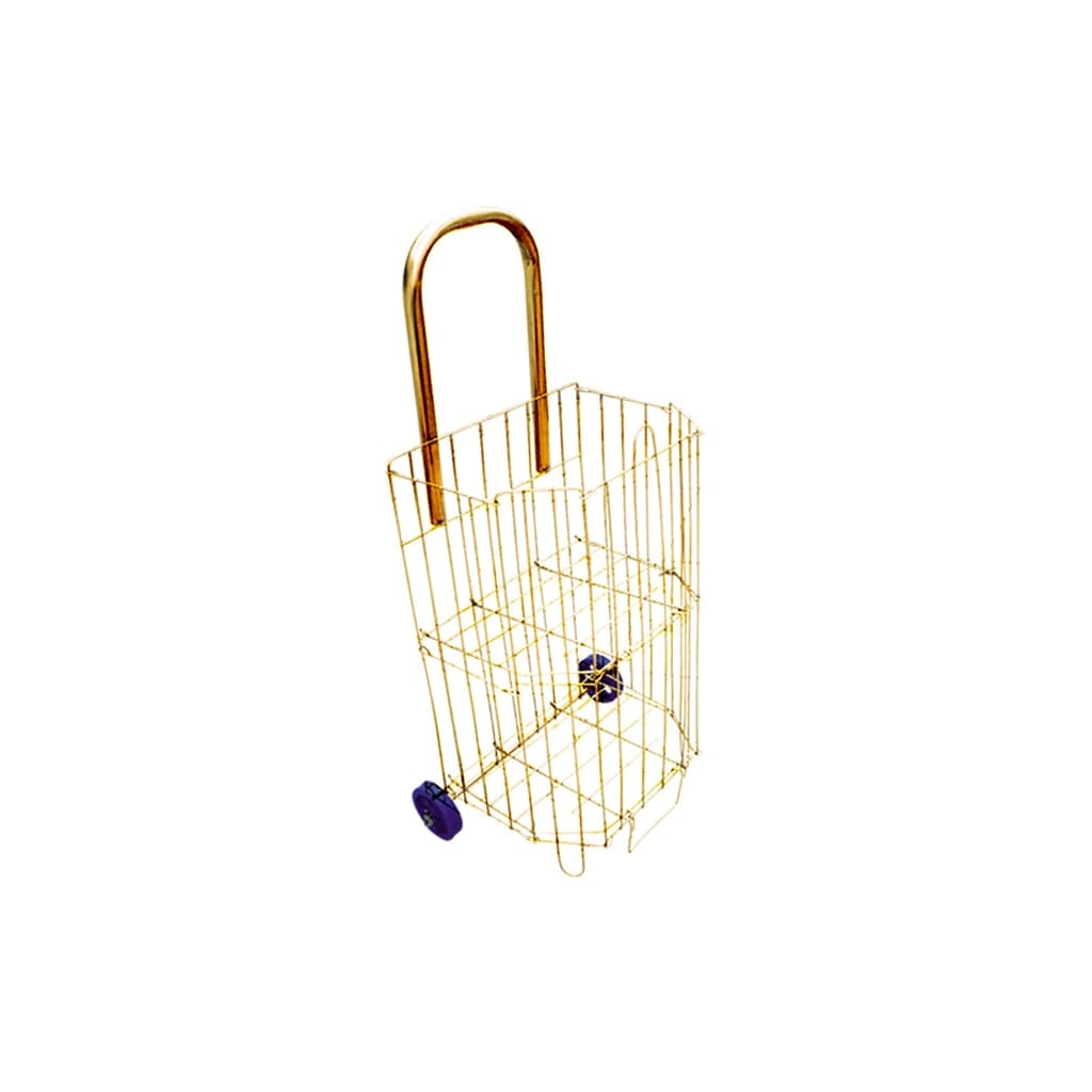 Carrinho de feira infantil brinquedo para criança Menina e Menino em acabamento Zincado