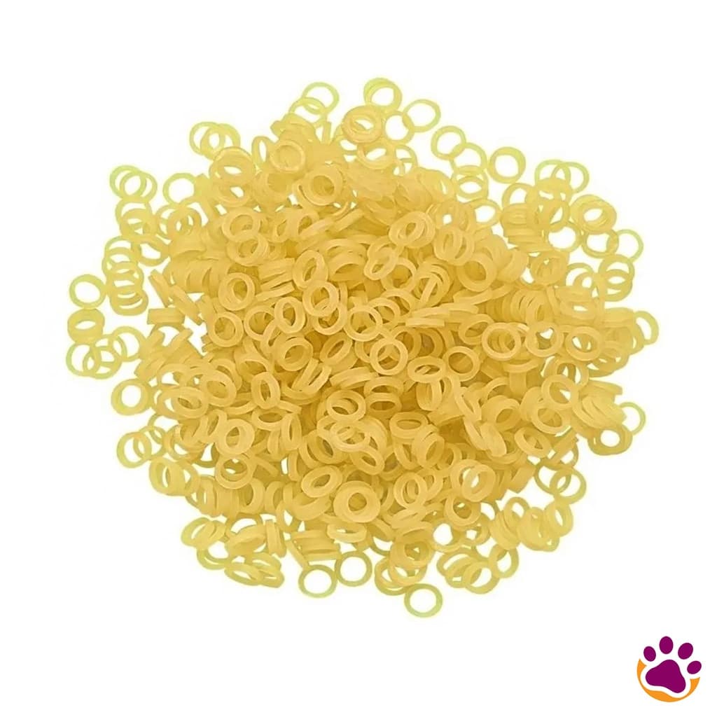1000 Borrachinhas Elástico 5/16 Resistente Para Laços Lacinhos Pet Shop Banho Tosa