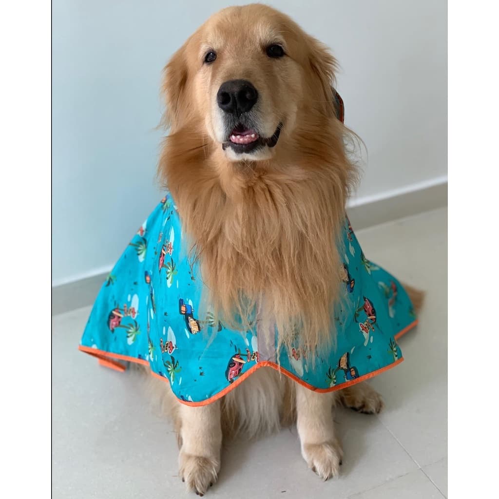 Capa de Chuva com Capuz  para Cachorro Grande 100% impermeável