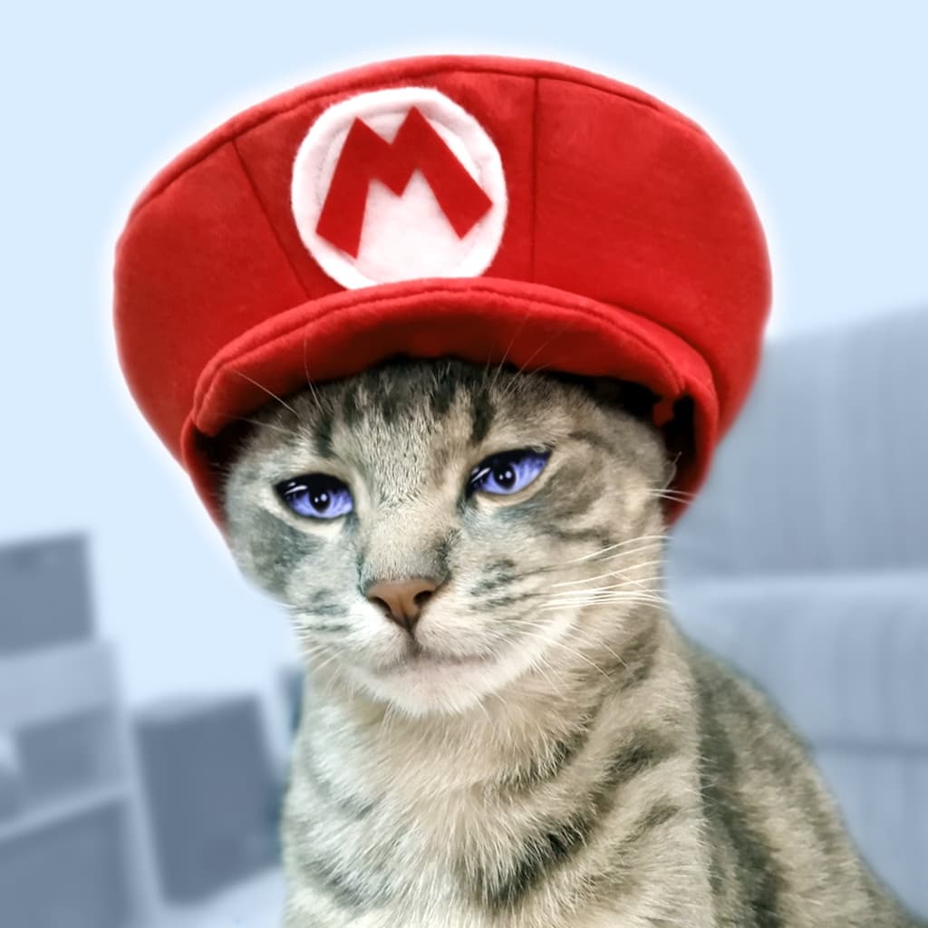 Chapéu Pet boina - boné Mario Bros, Luigi, Peach, Wario ou Waluigi para gato adulto ou cão pequeno