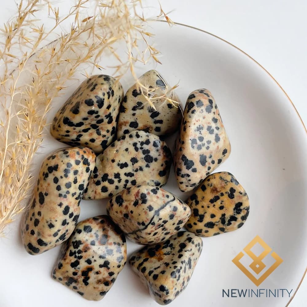 Pedra jaspe Dalmata Rolada Cristal Natural 1,5cm Proteção e vitalidade