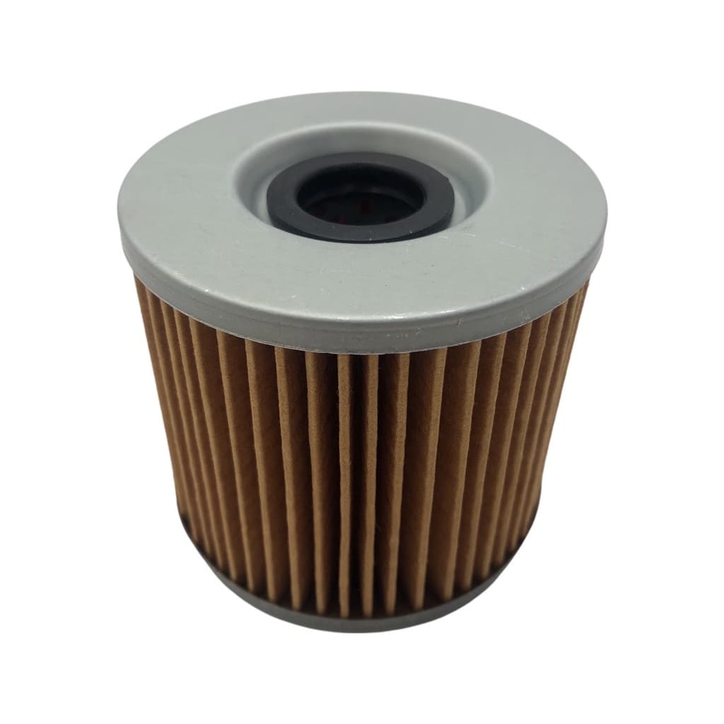 Filtro Óleo  Gs 500