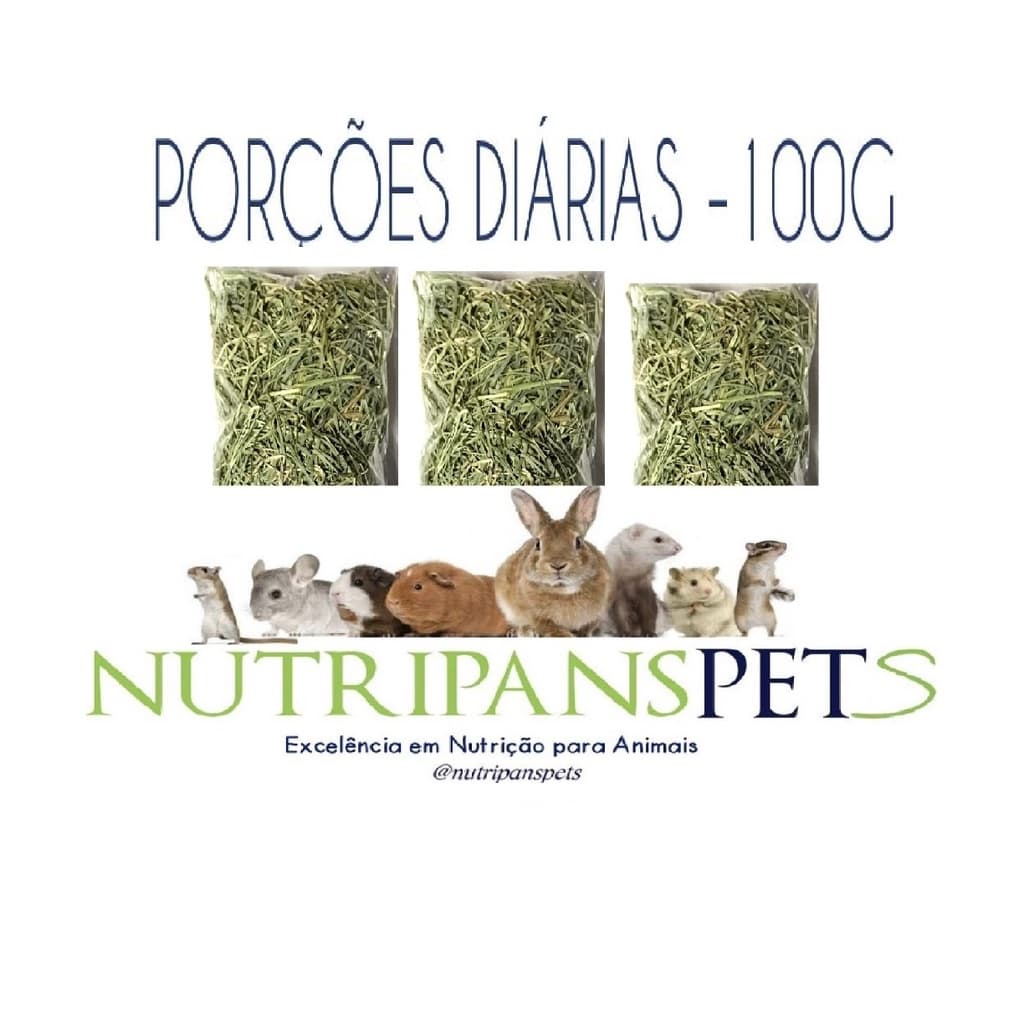 Porção diaria 3 unidades 100gr cada Feno Premium Coast Cross