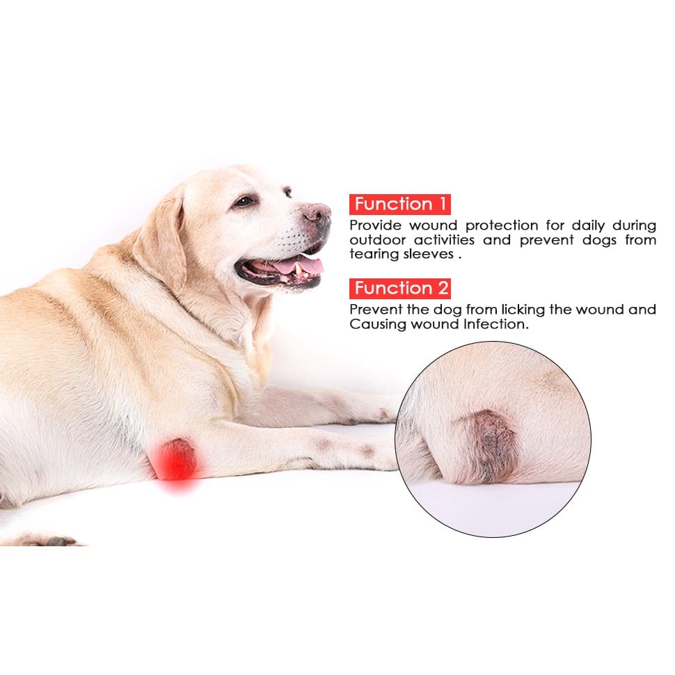 B1R Cotoveleira De Cachorro Com Almofada De Algodão Para Cães Evitar Lejuryyl2206