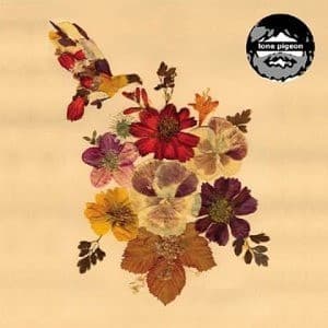 Cd The Lone Pigeon Concubine Rice