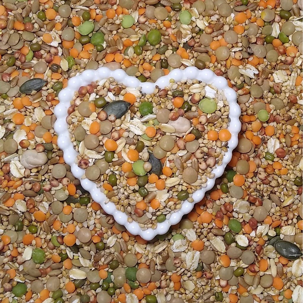 Mix de Sementes Caseiro Balanceado para Hamster - 150g, 250g, 500g