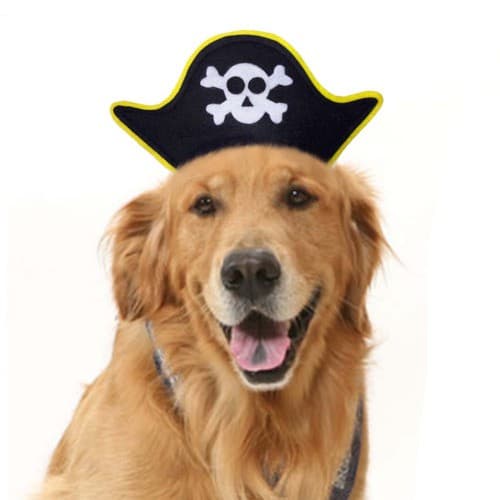 Chapéu Pirata em Feltro para Cachorro Ou Gato - Acessório De Carnaval