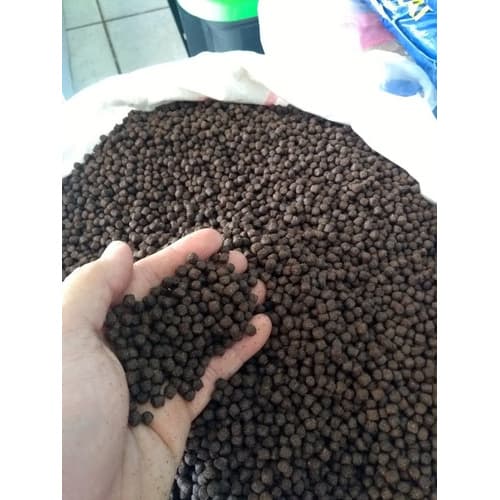 Ração Para Peixes Carnívoros, Pirarucu, Oscar E Outros - 5kg