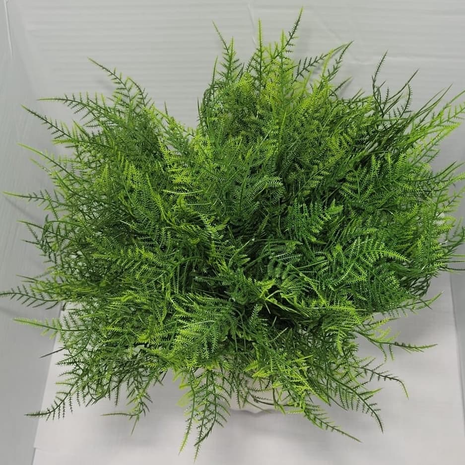 Matinho de Samambaia Artificial