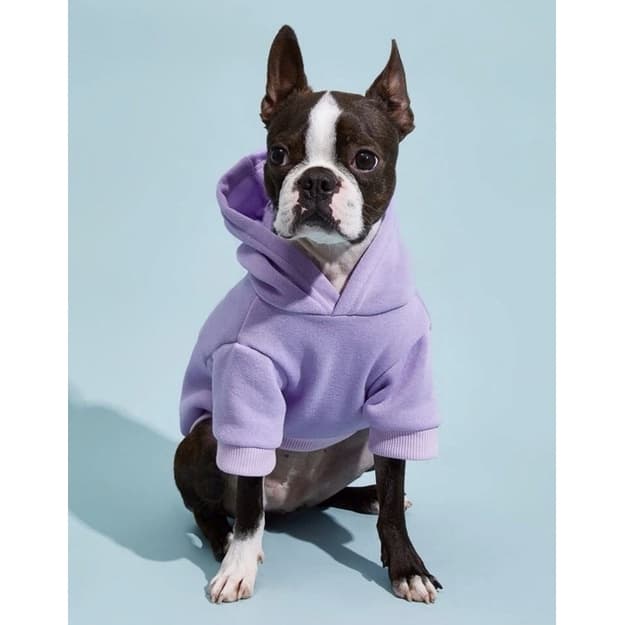 Moletom pet lilás algodão roupinha cachorro gato casaco com capuz cores pequeno médio grande porte frio roupa