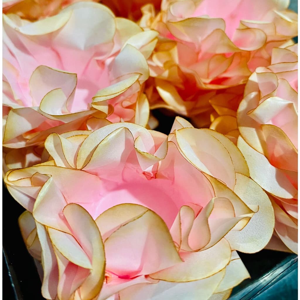 40~160 FORMINHAS PARA DOCES FINOS DE CASAMENTOS FESTA MOD SIENA//