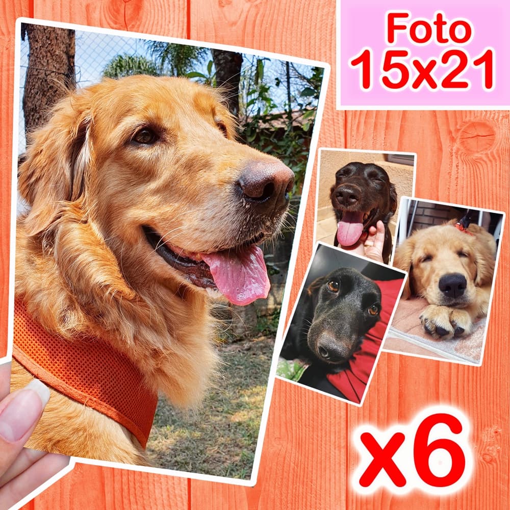 Revelar Fotos 15x21 (6 Unidades)