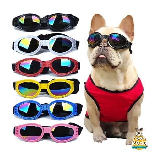 Óculos de Sol Para Cachorro Proteção Uv400 Várias Cores Cães Cachorros Pet