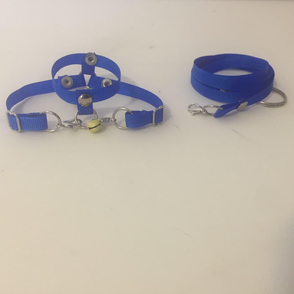 Coleira  Para Calopsita - Facil Colocação